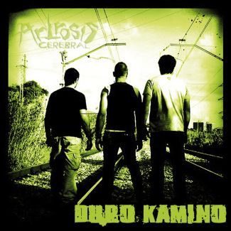 ARTROSIS CEREBRAL  Duro kamino (2012) CD