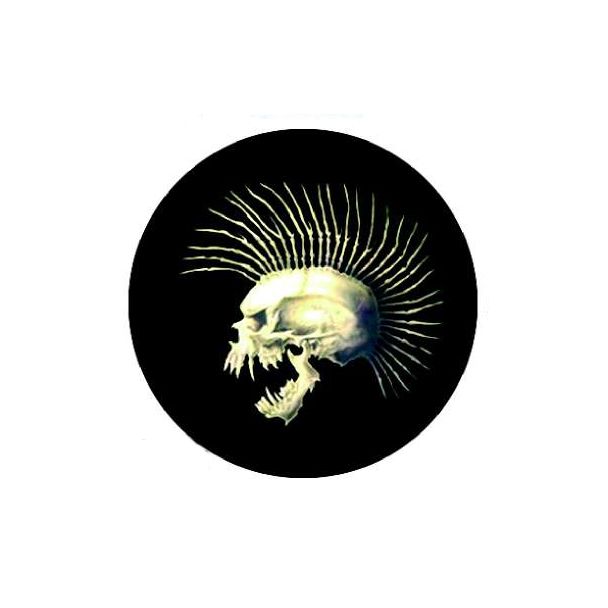 CHAPA 138 - CRESTA DE HUESO 100