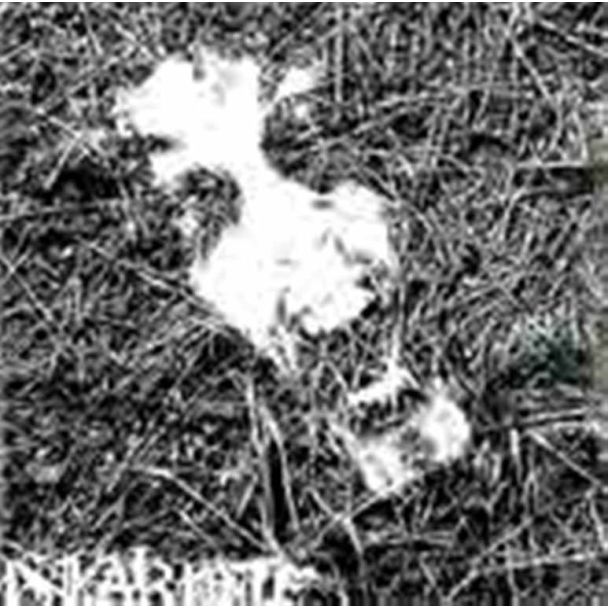 ISKARIOTE s/t CD