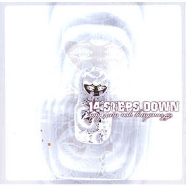 14 STEPS DOWN Something You Can't Hide CD