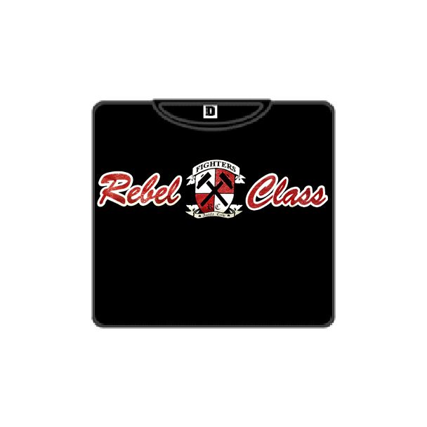 REBEL CLASS FIGHTERS