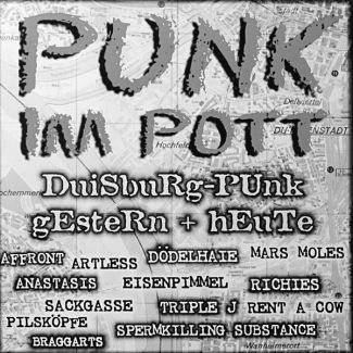 PUNK IM POTT  recop 15 bandas alemanas  (1997) LP